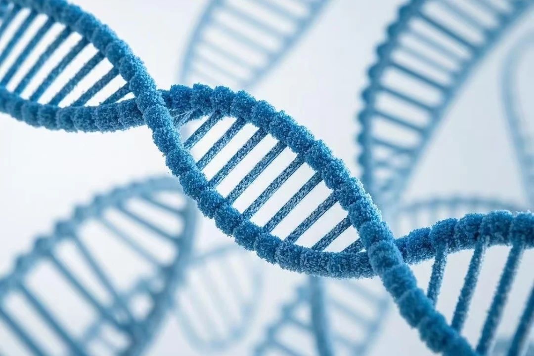 1741771283062081393.jpg 0000.jpg